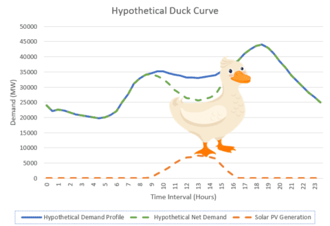 The duck curve is turning into a canyon - PSC Consulting